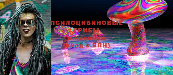 метадон Вяземский