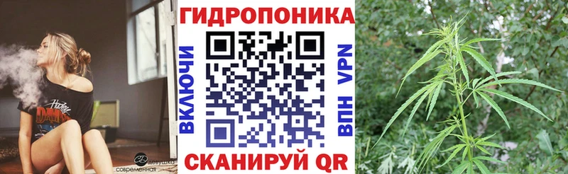 купить   Енисейск  Бошки Шишки план 